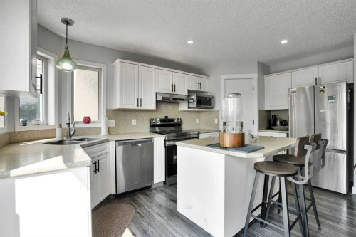 101 Douglas Ridge Circle Se, Calgary, AB - Indoor Photo Showing Kitchen With Double Sink