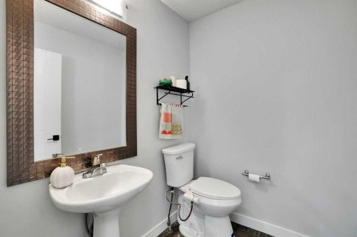 101 Douglas Ridge Circle Se, Calgary, AB - Indoor Photo Showing Bathroom