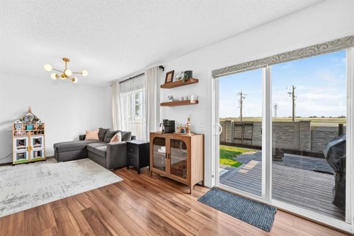 224 Viewpointe Terrace, Chestermere, AB - Indoor Photo Showing Living Room