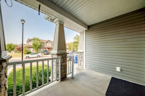 224 Viewpointe Terrace, Chestermere, AB - Outdoor With Exterior