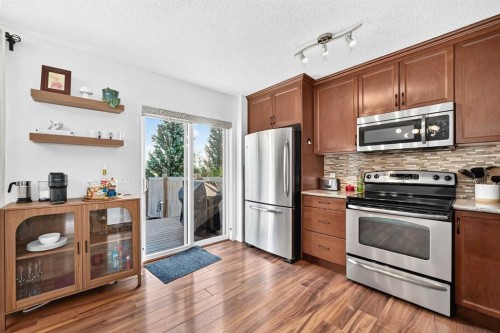 224 Viewpointe Terrace, Chestermere, AB - Indoor Photo Showing Kitchen With Stainless Steel Kitchen