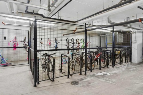 318-8 Sage Hill Terrace Nw, Calgary, AB - Indoor Photo Showing Garage