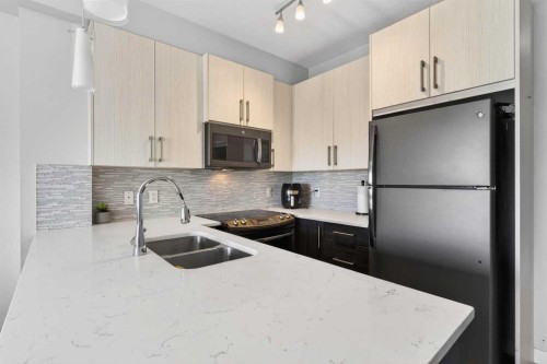 318-8 Sage Hill Terrace Nw, Calgary, AB - Indoor Photo Showing Kitchen With Double Sink With Upgraded Kitchen