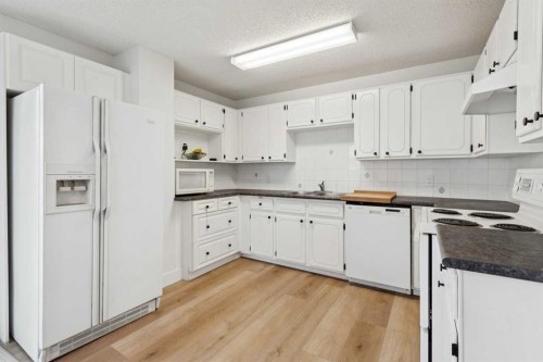 91 Deerfield Drive Se, Calgary, AB - Indoor Photo Showing Kitchen