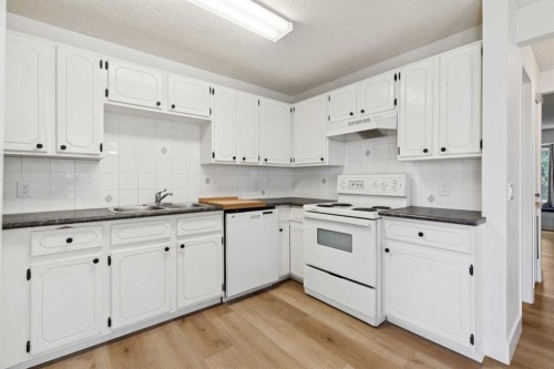 91 Deerfield Drive Se, Calgary, AB - Indoor Photo Showing Kitchen With Double Sink