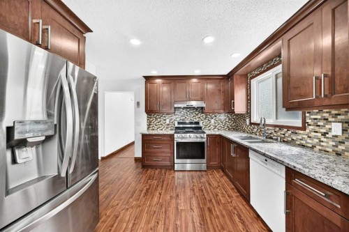 291 Falton Drive Ne, Calgary, AB - Indoor Photo Showing Kitchen With Double Sink With Upgraded Kitchen