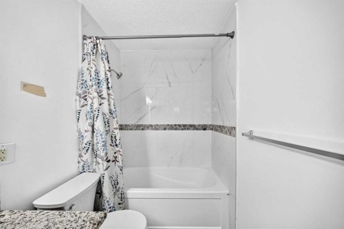 291 Falton Drive Ne, Calgary, AB - Indoor Photo Showing Bathroom