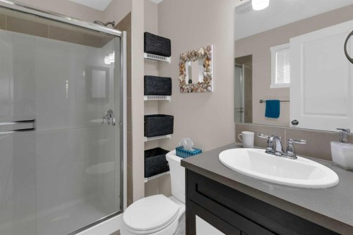 87 Marine Drive Se, Calgary, AB - Indoor Photo Showing Bathroom