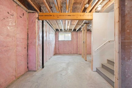 138 Homestead Boulevard Ne, Calgary, AB - Indoor Photo Showing Basement