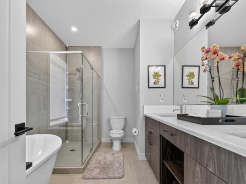 307 Royal Elm Road Nw, Calgary, AB - Indoor Photo Showing Bathroom