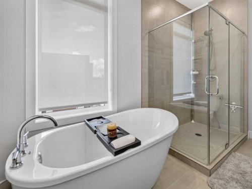 307 Royal Elm Road Nw, Calgary, AB - Indoor Photo Showing Bathroom