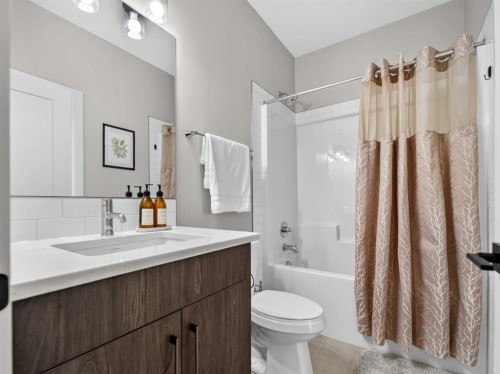 307 Royal Elm Road Nw, Calgary, AB - Indoor Photo Showing Bathroom