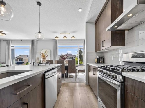 307 Royal Elm Road Nw, Calgary, AB - Indoor Photo Showing Kitchen With Stainless Steel Kitchen With Upgraded Kitchen