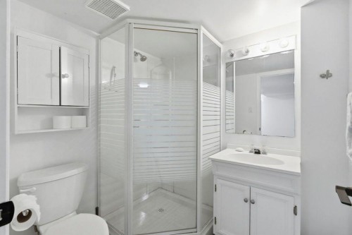 9832 Athens Road Se, Calgary, AB - Indoor Photo Showing Bathroom
