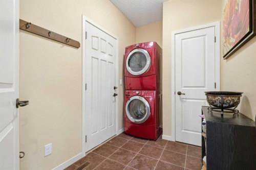 160 Brightoncrest Manor Se, Calgary, AB - Indoor Photo Showing Laundry Room