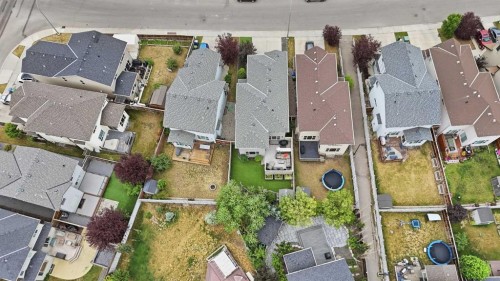 160 Brightoncrest Manor Se, Calgary, AB - 