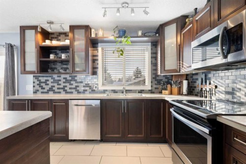 172 Rundlefield Crescent Ne, Calgary, AB - Indoor Photo Showing Kitchen With Stainless Steel Kitchen With Double Sink With Upgraded Kitchen