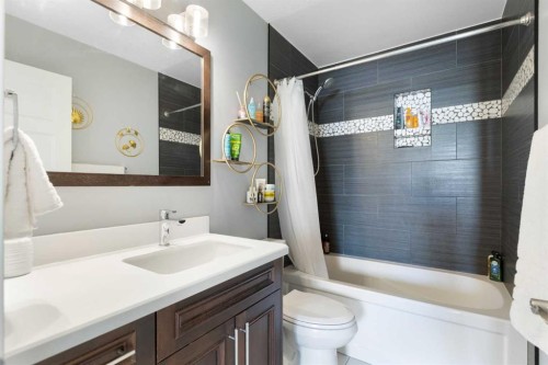 172 Rundlefield Crescent Ne, Calgary, AB - Indoor Photo Showing Bathroom