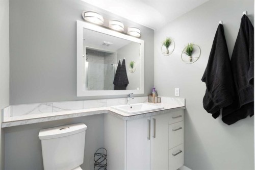 172 Rundlefield Crescent Ne, Calgary, AB - Indoor Photo Showing Bathroom