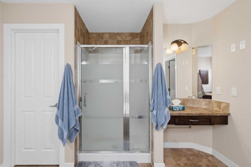 82 Brightonwoods Green Se, Calgary, AB - Indoor Photo Showing Bathroom
