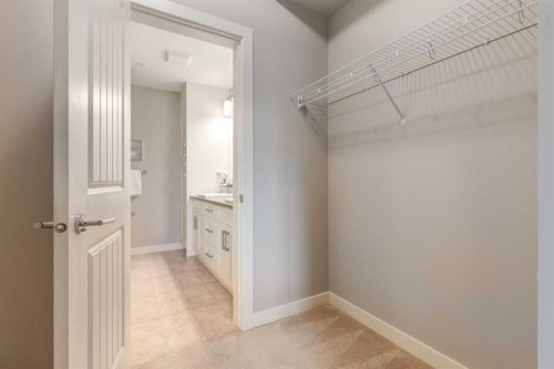 3109-522 Cranford Drive Se, Calgary, AB - Indoor With Storage