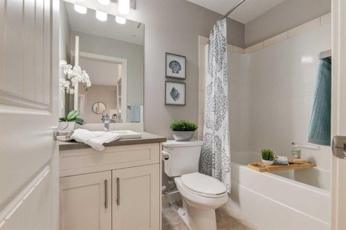 3109-522 Cranford Drive Se, Calgary, AB - Indoor Photo Showing Bathroom