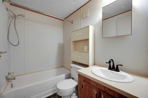 169 Erin Woods Circle Se, Calgary, AB - Indoor Photo Showing Bathroom