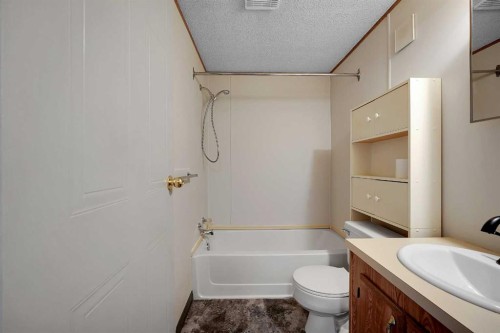 169 Erin Woods Circle Se, Calgary, AB - Indoor Photo Showing Bathroom