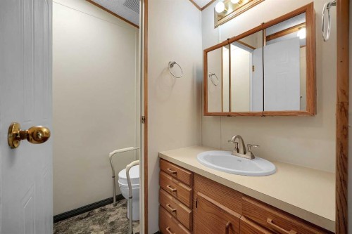 169 Erin Woods Circle Se, Calgary, AB - Indoor Photo Showing Bathroom