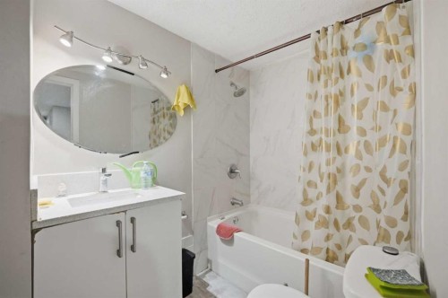731 Maryvale Way Ne, Calgary, AB - Indoor Photo Showing Bathroom