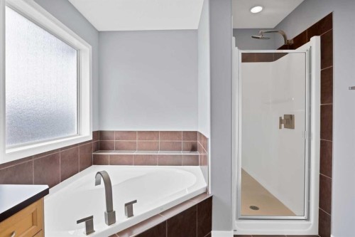 283 Taralake Landing Ne, Calgary, AB - Indoor Photo Showing Bathroom