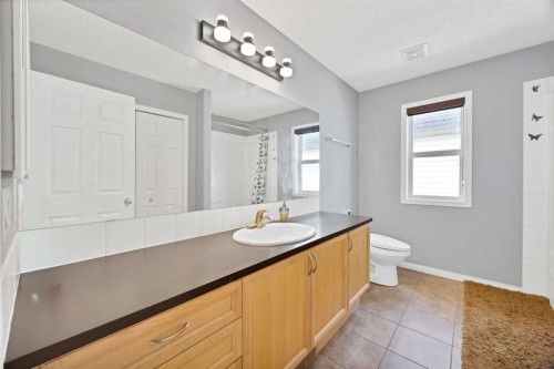 283 Taralake Landing Ne, Calgary, AB - Indoor Photo Showing Bathroom