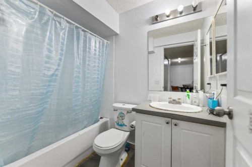 5036 Martin Crossing Drive Ne, Calgary, AB - Indoor Photo Showing Bathroom