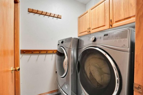 16 Sun Harbour Crescent Se, Calgary, AB - Indoor Photo Showing Laundry Room