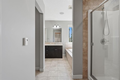 7 Copperleaf Terrace Se, Calgary, AB - Indoor Photo Showing Bathroom