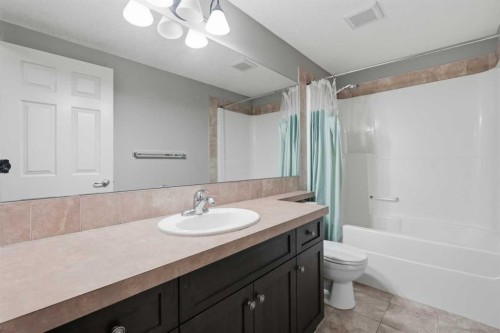 7 Copperleaf Terrace Se, Calgary, AB - Indoor Photo Showing Bathroom