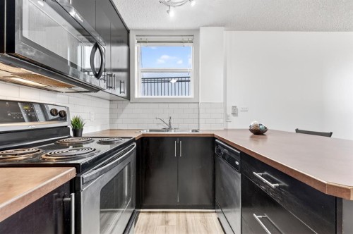 103-1333 13 Avenue Sw, Calgary, AB - Indoor Photo Showing Kitchen With Double Sink