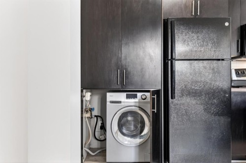 103-1333 13 Avenue Sw, Calgary, AB - Indoor Photo Showing Laundry Room