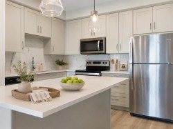 202-150 Shawnee Square SW Calgary, AB T2Y 0T6