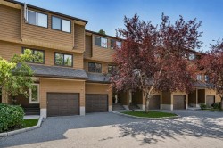 205-3131 63 Avenue SW Calgary, AB T3E 6N4