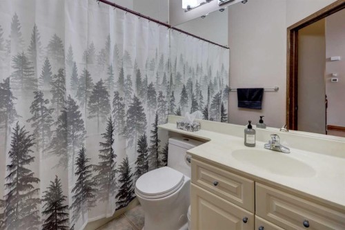 321 Gleneagles View, Cochrane, AB - Indoor Photo Showing Bathroom