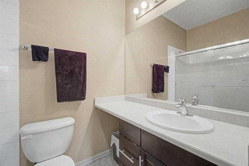 415-263 Macewan Road, Edmonton, AB - Indoor Photo Showing Bathroom