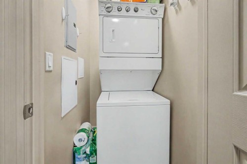 415-263 Macewan Road, Edmonton, AB - Indoor Photo Showing Laundry Room