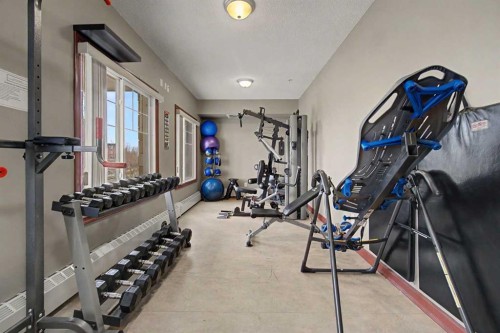 415-263 Macewan Road, Edmonton, AB - Indoor Photo Showing Gym Room