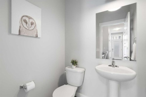 56 Skyview Circle Ne, Calgary, AB - Indoor Photo Showing Bathroom