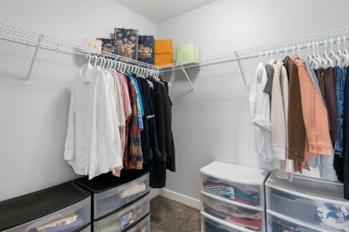 56 Skyview Circle Ne, Calgary, AB - Indoor With Storage