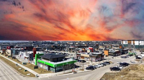 56 Skyview Circle Ne, Calgary, AB - Outdoor With View