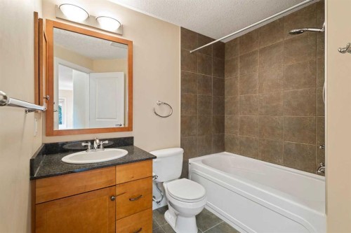 202-509 21 Avenue Sw, Calgary, AB - Indoor Photo Showing Bathroom