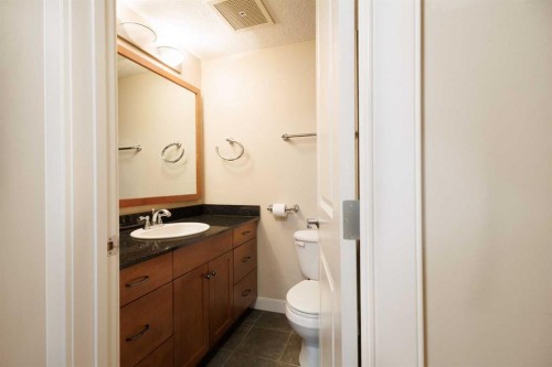 202-509 21 Avenue Sw, Calgary, AB - Indoor Photo Showing Bathroom