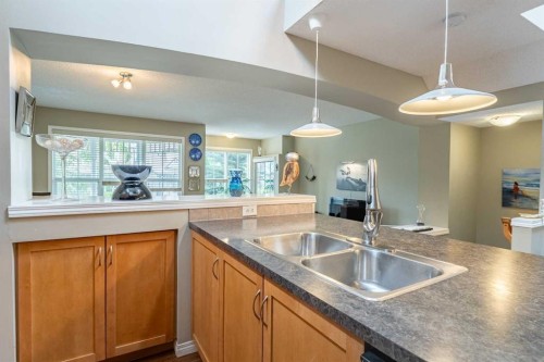 57 Auburn Bay View Se, Calgary, AB - Indoor Photo Showing Kitchen With Double Sink